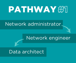 Data architect pathway 1