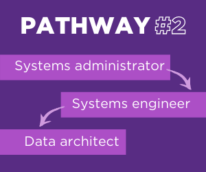Data architect pathway 2