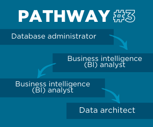 Data architect pathway 3
