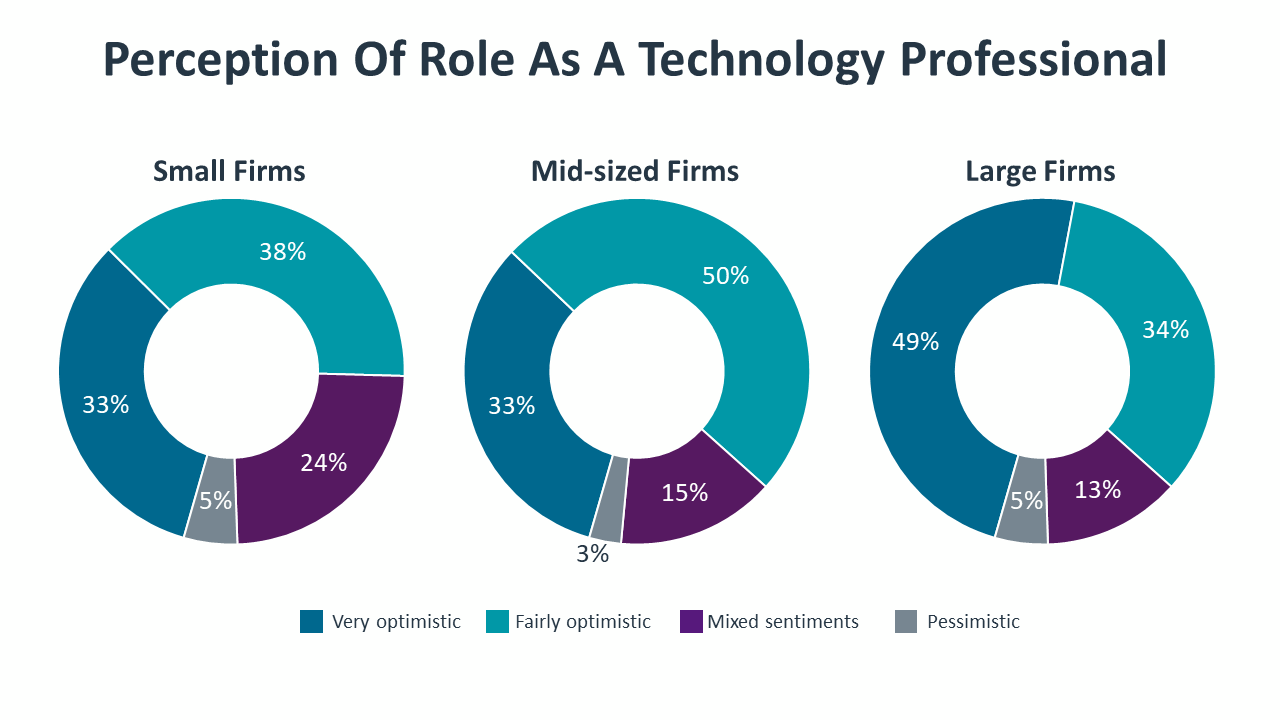 Perception Of Role As A Technology Professional