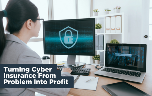 Turning Cyber Insurance from Problem to Profit